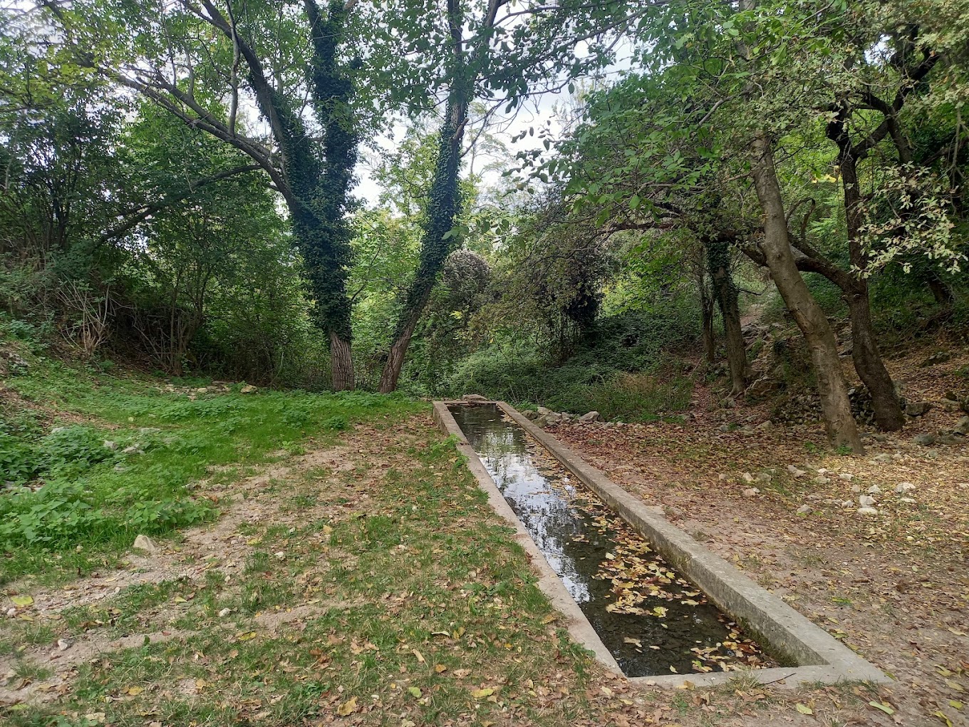 Fonte del Papa